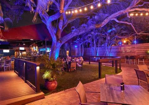 dunedin gay bar|dunedin florida bars.